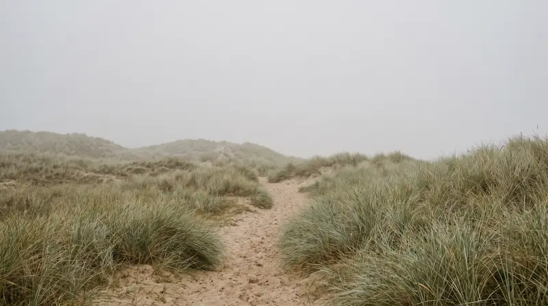 Duinpad in de ochtendmist (AI-beeld)